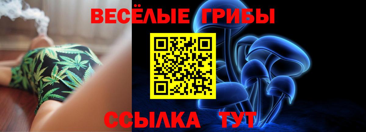 Галлюциногенные грибы MAGIC MUSHROOMS  Вход с VPN  Богородск 